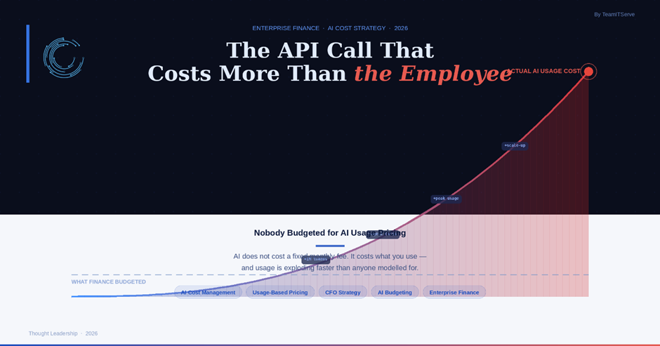 AI Usage Pricing