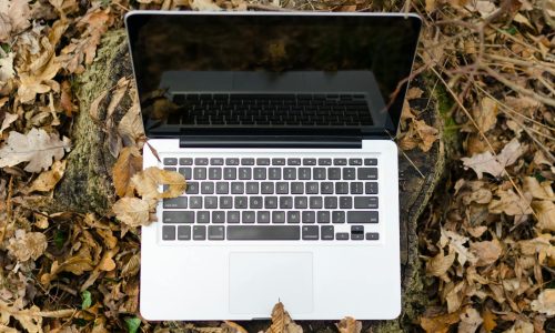 Photo by Lukas Laptop on a tree stump among fallen leaves, showcasing technology in nature.